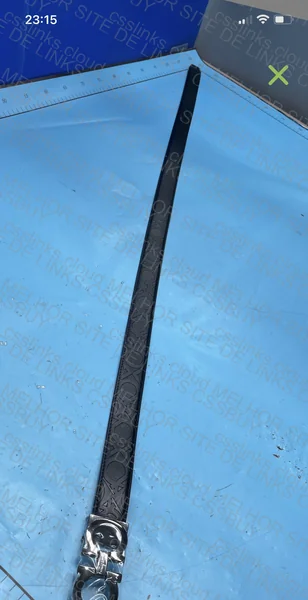 Ferragamo Belt 4
