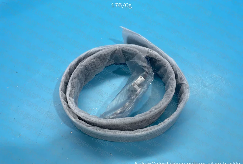 Ferragamo Belt