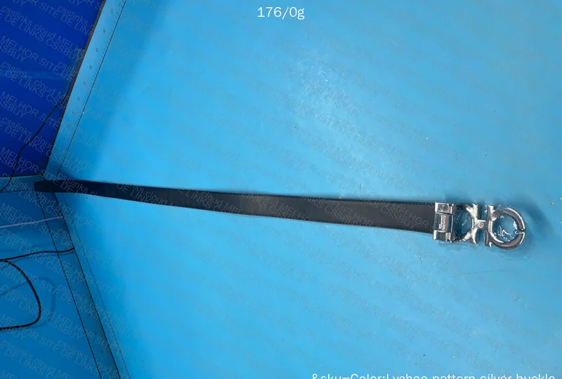 Ferragamo Belt 2