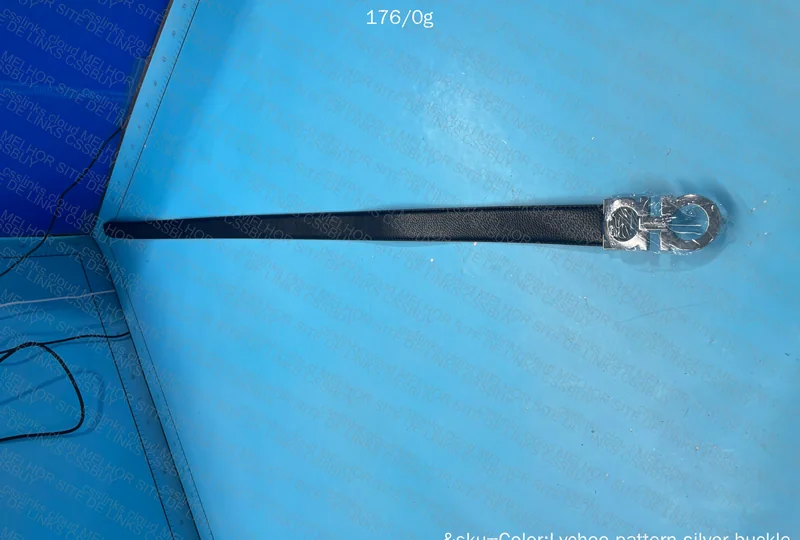 Ferragamo Belt 3