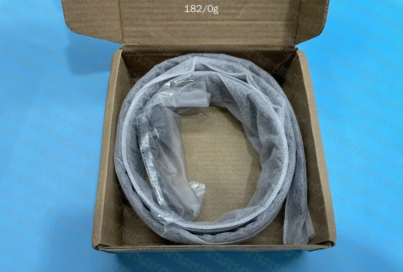 Ferragamo Belt 10