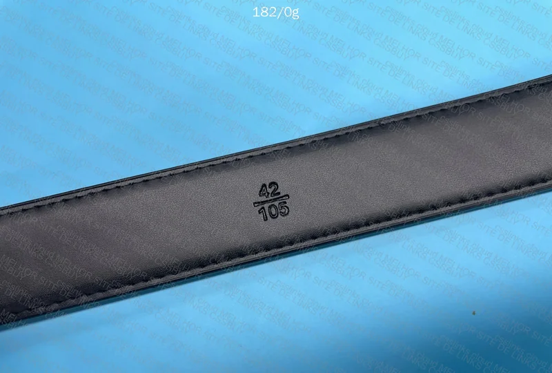 Ferragamo Belt 5