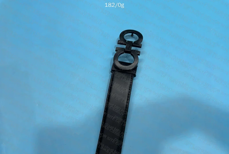Ferragamo Belt 7