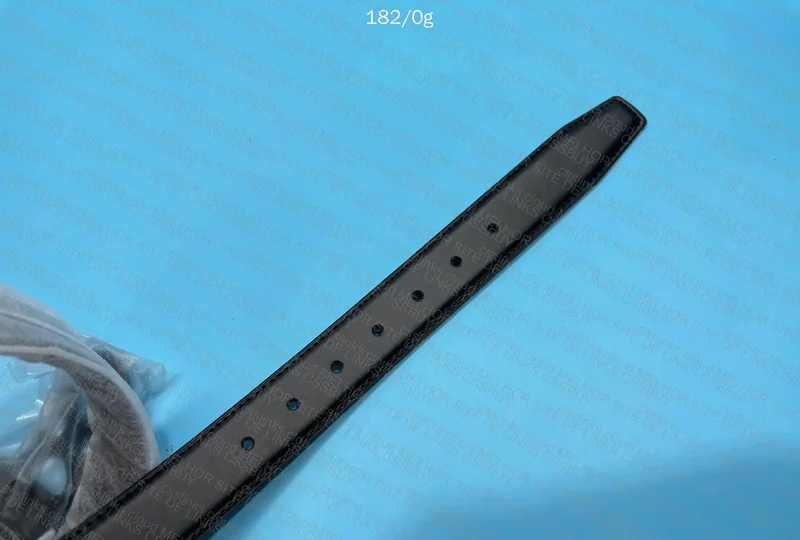 Ferragamo Belt 9