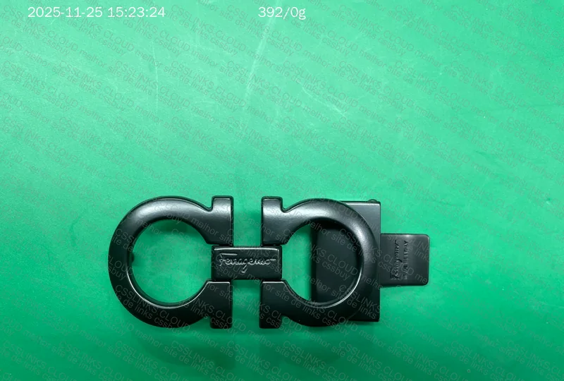 Ferragamo Belt