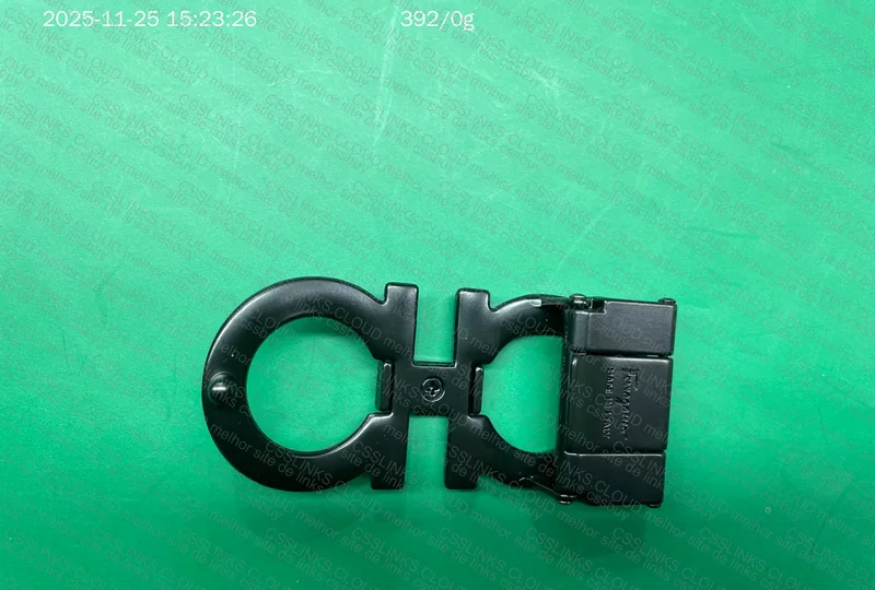Ferragamo Belt 2