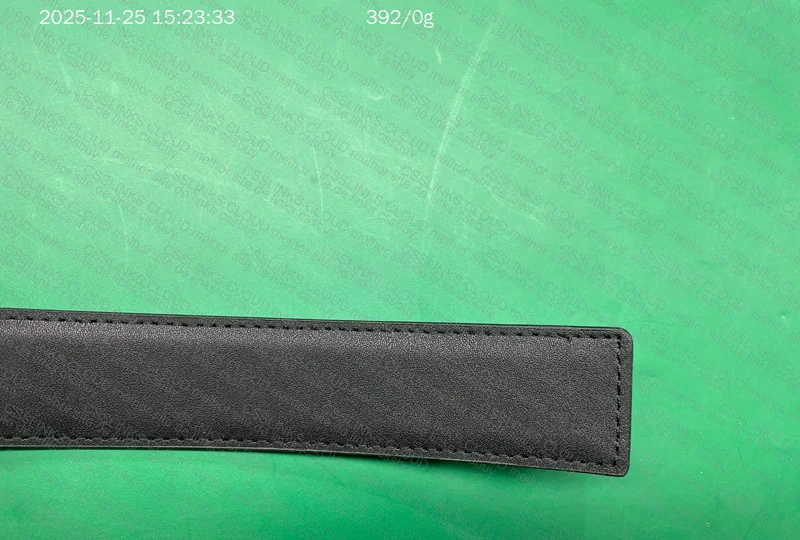 Ferragamo Belt 3