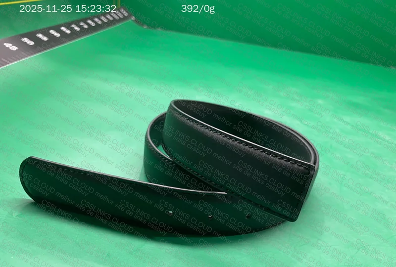 Ferragamo Belt 5