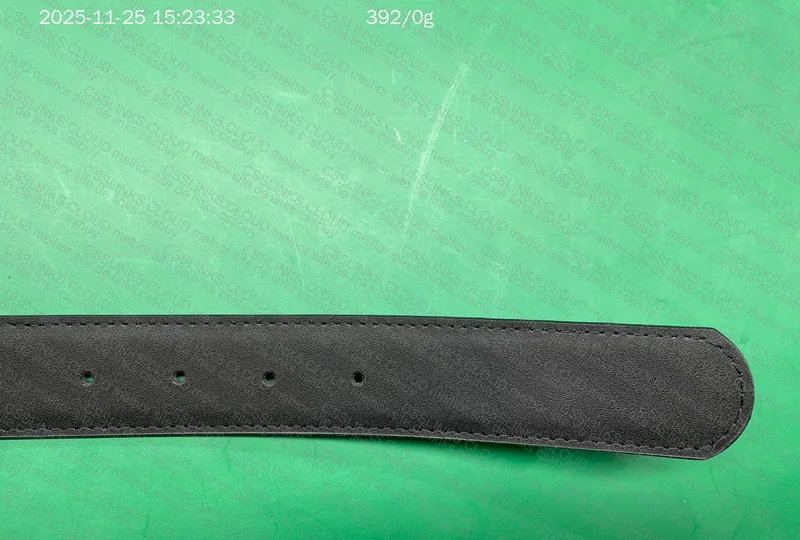 Ferragamo Belt 6