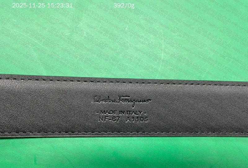 Ferragamo Belt 7