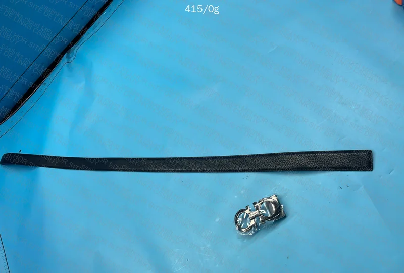 Ferragamo Belt (GL?) 2