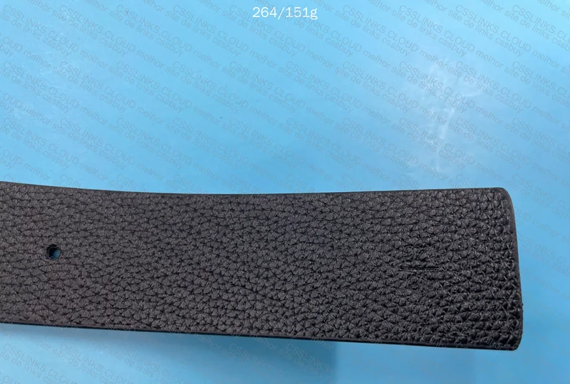Givenchy Belt 5