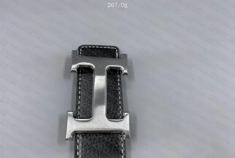 Hermès Belt 2