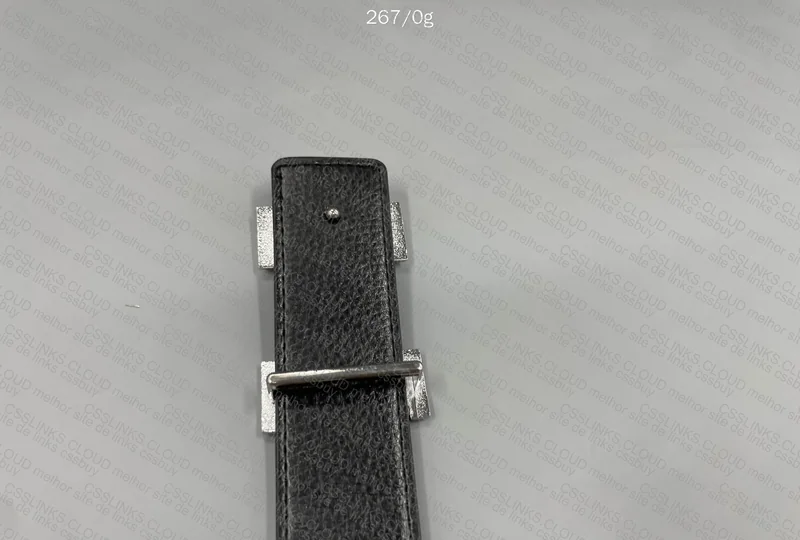 Hermès Belt 4
