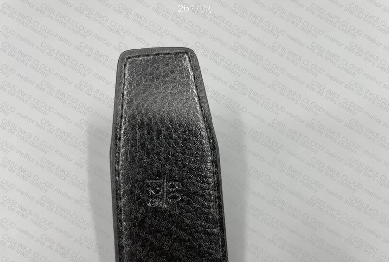 Hermès Belt 5