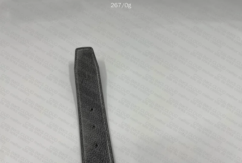 Hermès Belt 6