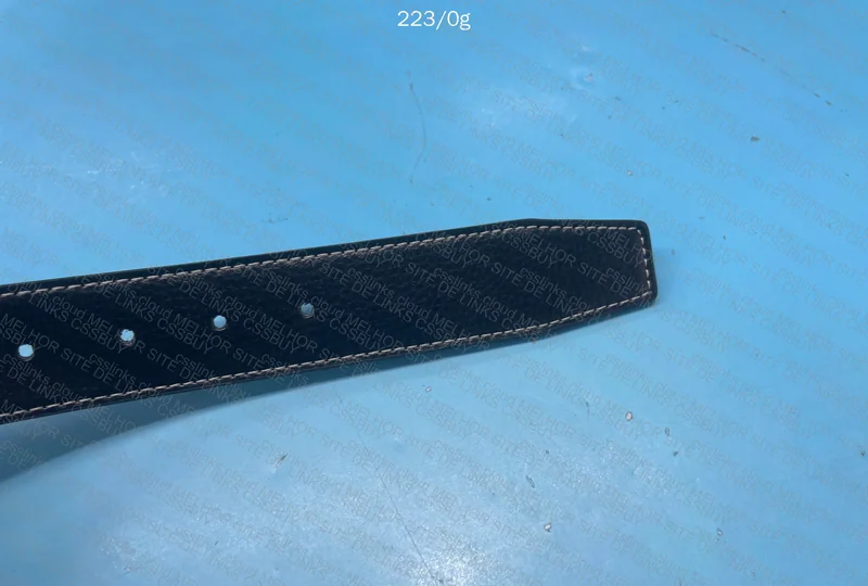 Hermès Belt 2