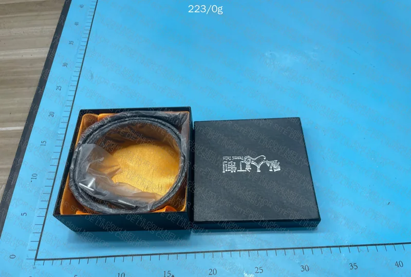 Hermès Belt 5
