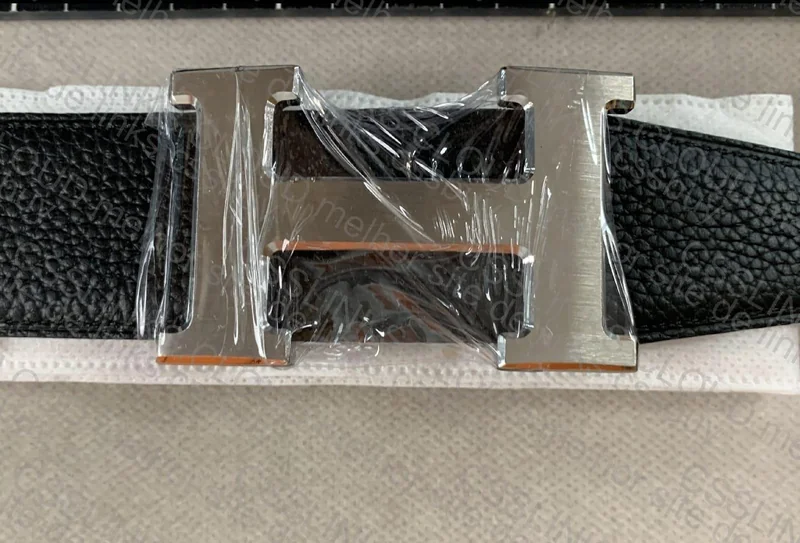 Hermès Belt 4