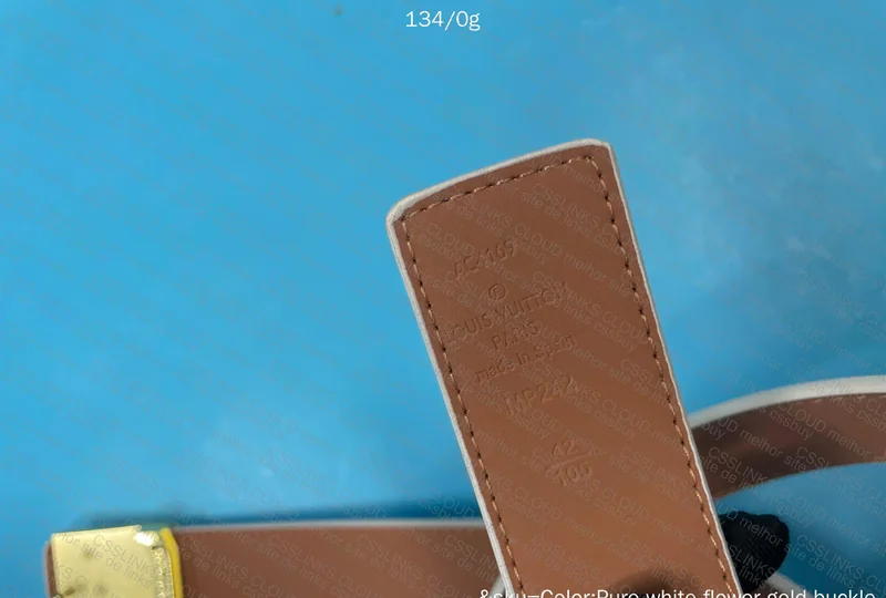 Louis Vuitton Belt 5