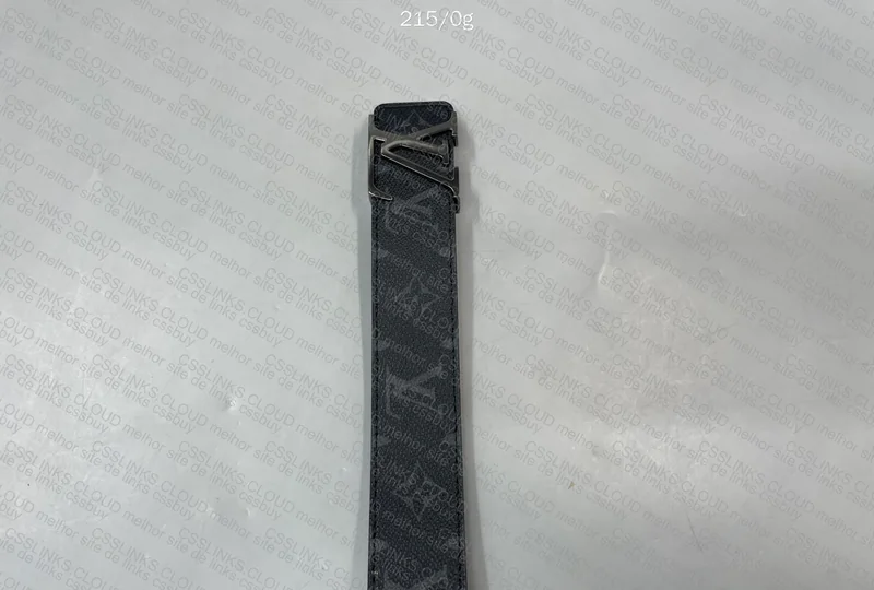 Louis Vuitton Belt 2