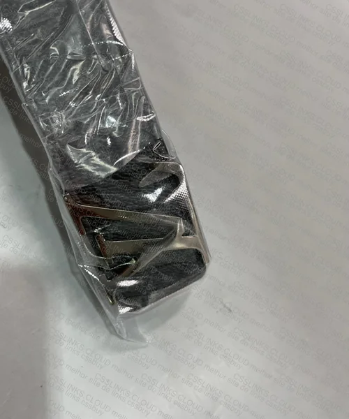 Louis Vuitton Belt 2