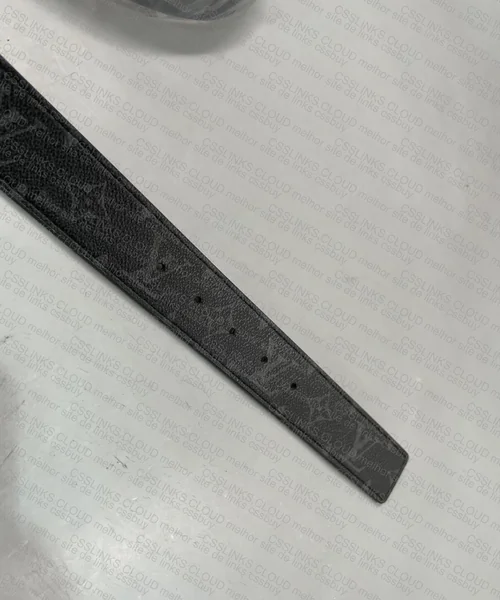 Louis Vuitton Belt 4