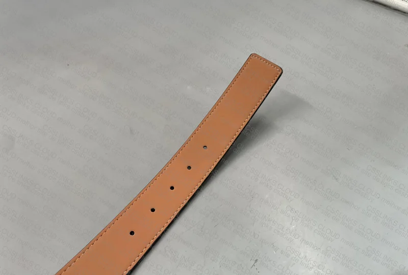 Louis Vuitton Belt 5