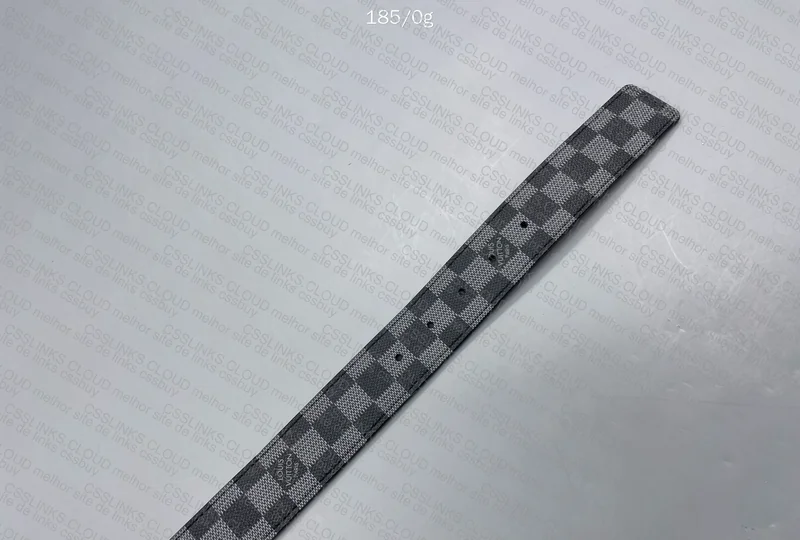 Louis Vuitton Belt 2
