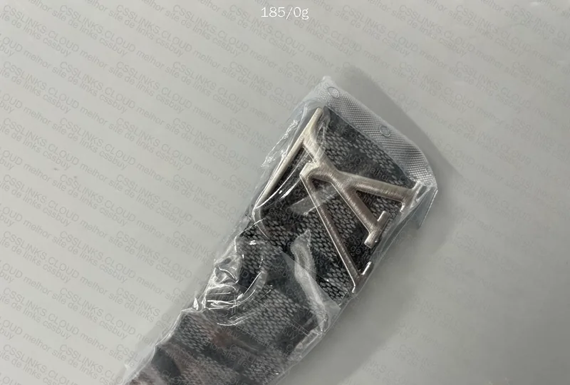 Louis Vuitton Belt 4