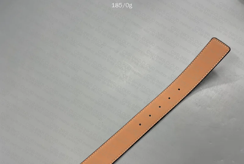 Louis Vuitton Belt 5