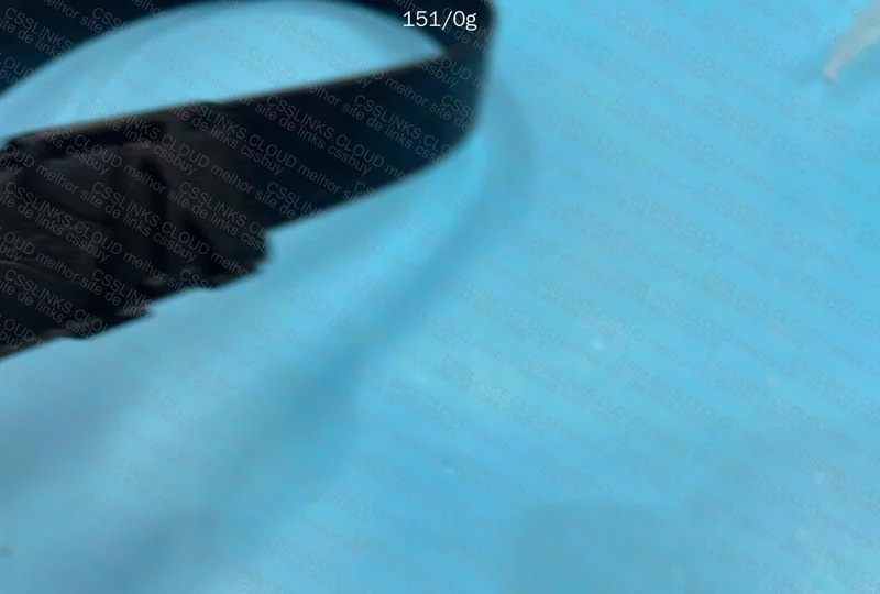 Louis Vuitton Belt 2