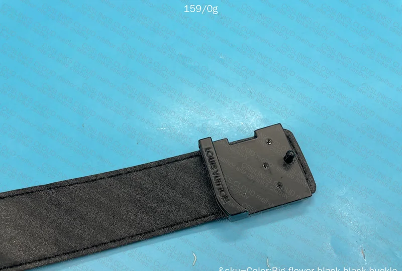 Louis Vuitton Belt 5