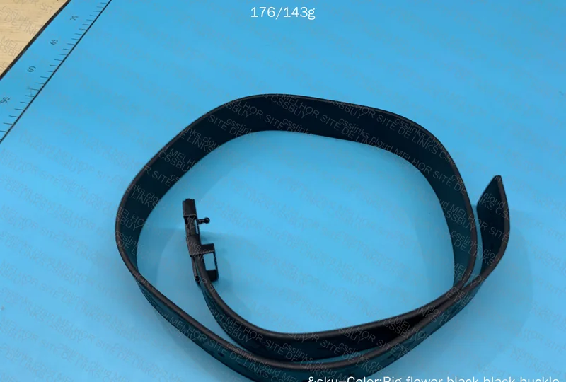 Louis Vuitton Belt 3