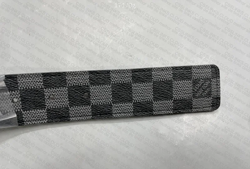 Louis Vuitton Belt GL? 2