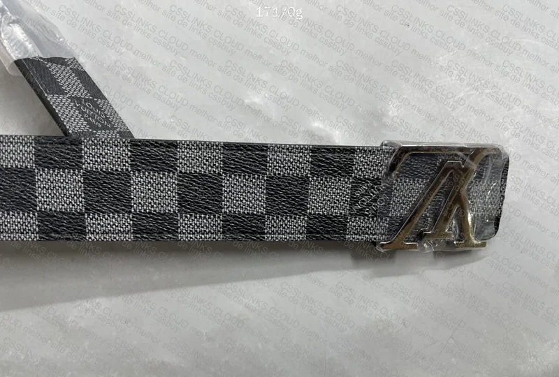 Louis Vuitton Belt GL? 5
