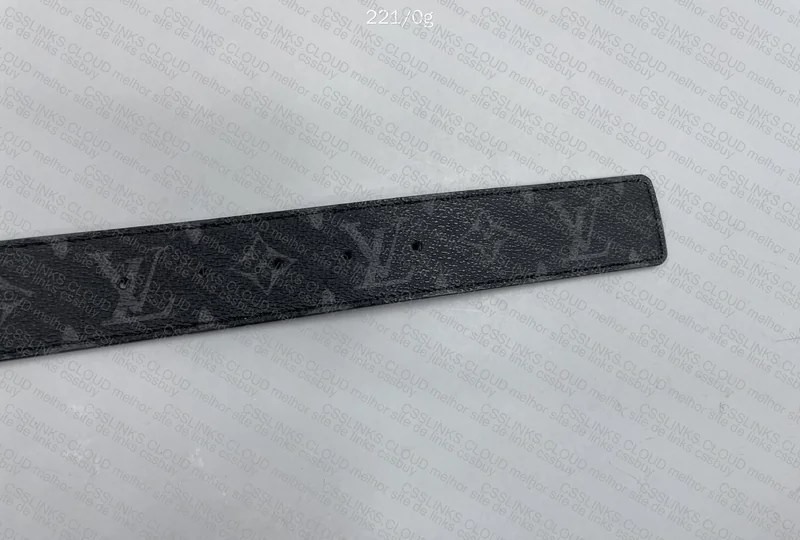 Louis Vuitton Belt 2