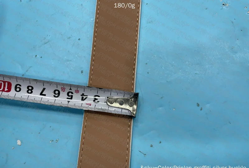 LV Printed Belt with Gold Buckle 2