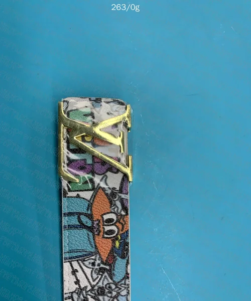 LV Printed Belt with Gold Buckle 5