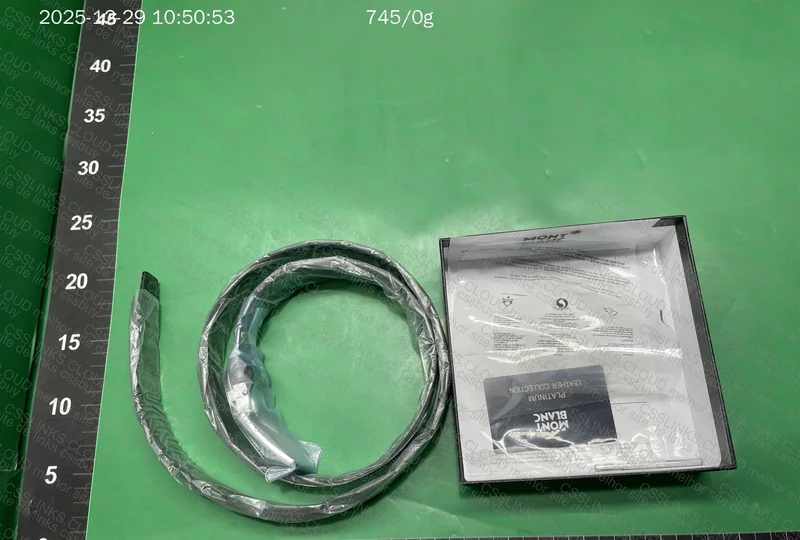 MontBlanc Belt 2