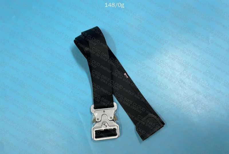 Alyx Rollercoaster Belt 2