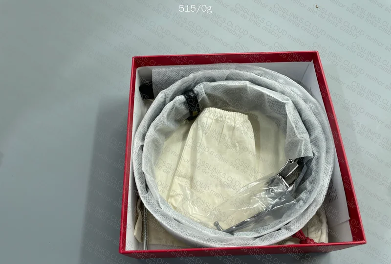 Salvatore Ferragamo Belt 5