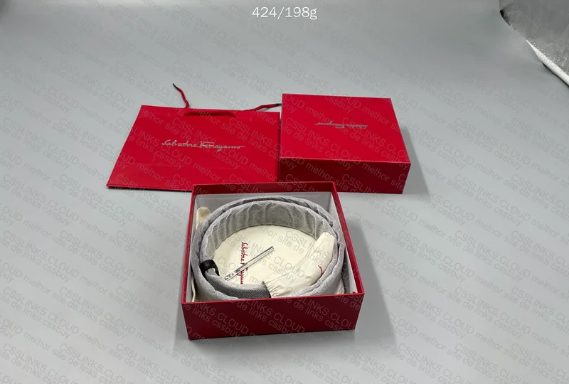 Salvatore Ferragamo Belt 3