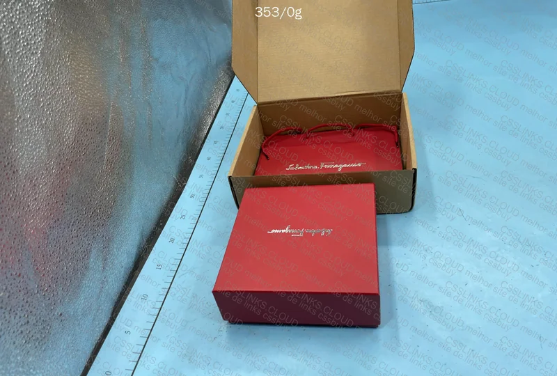 Salvatore Ferragamo Belt 2
