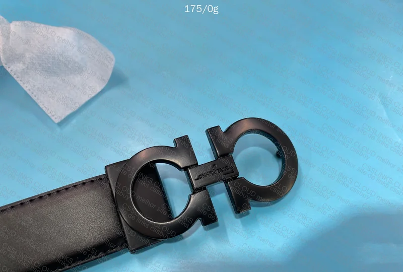 Salvatore Ferragamo Belt + Box