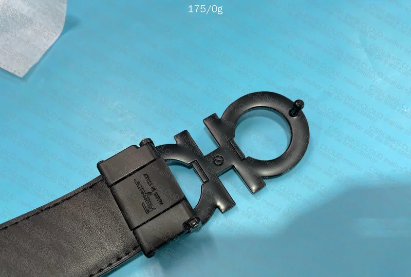 Salvatore Ferragamo Belt + Box 2