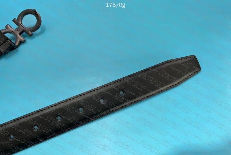 Salvatore Ferragamo Belt + Box 3