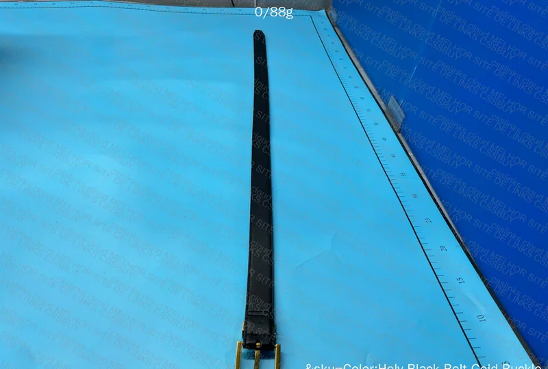 YSL Yves Saint Laurent Belt 3