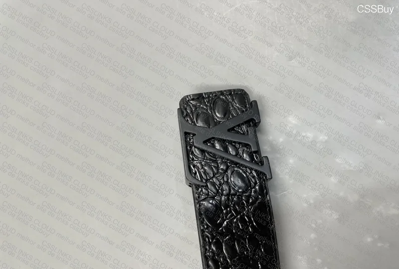 Louis Vuitton Belts 2