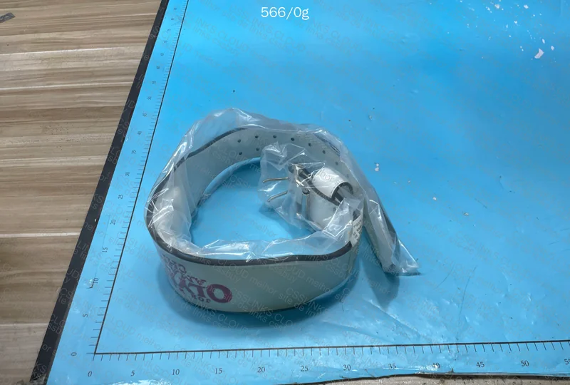 Olympia Belt 4